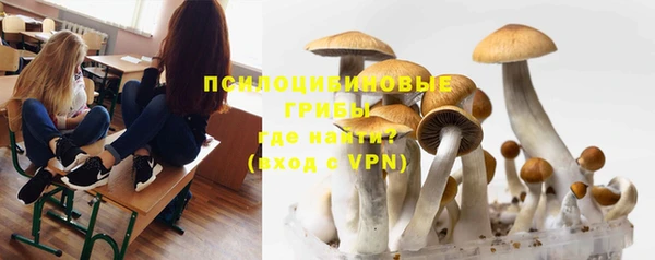 ALPHA PVP Киренск