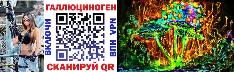 Купить где  Кохма  Псилоцибиновые грибы Cubensis 